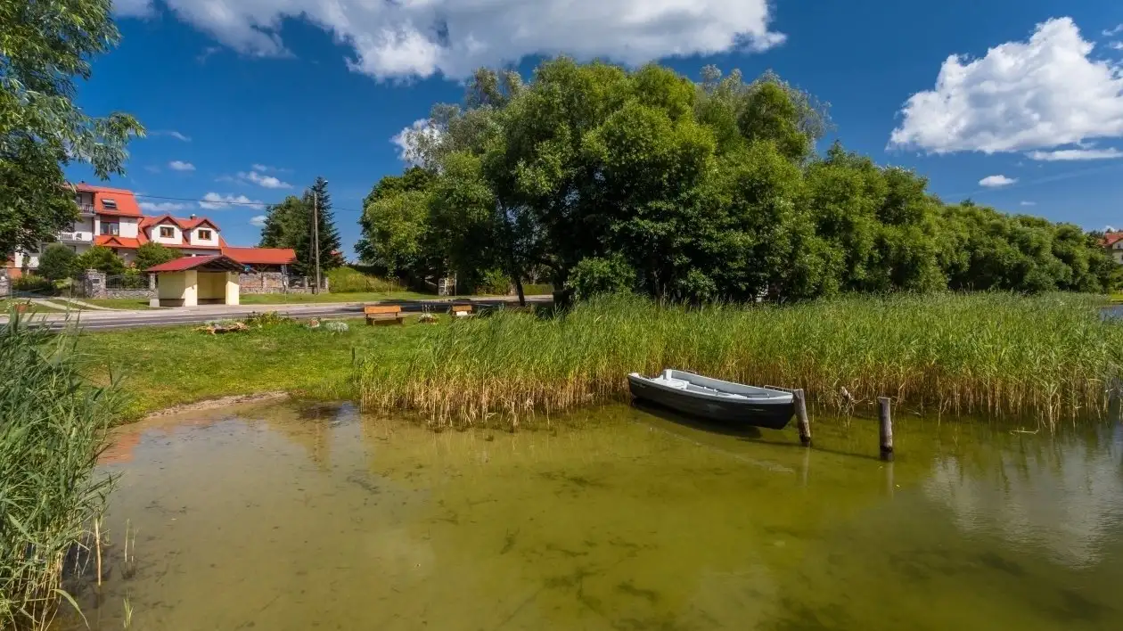 Miejscowość Pogoda 7 dniowa Kosewo