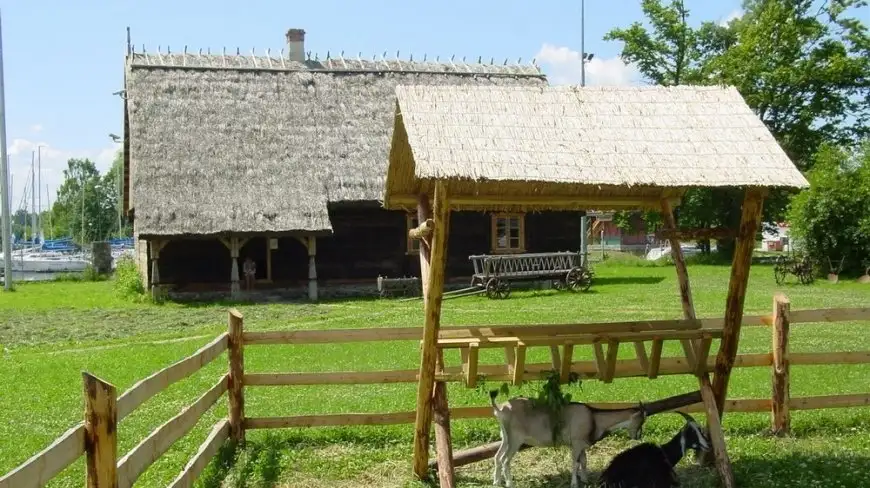 Sękacz i Spółka. Dzień z kulinariami regionalnymi