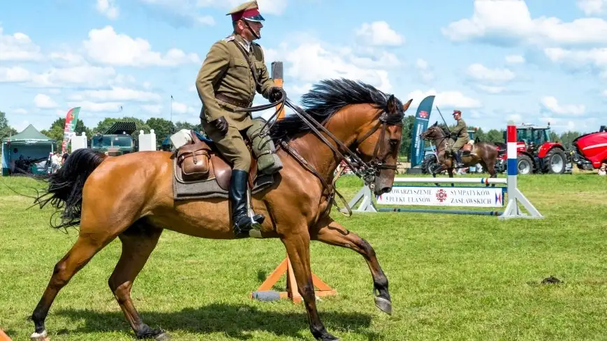 Zimnokrwiste rozgrzały serca publiczności
