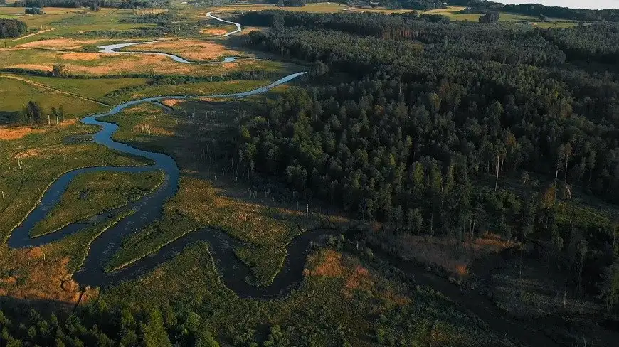 Wiersz Władysława Dzięgały w filmie naszego czytelnika