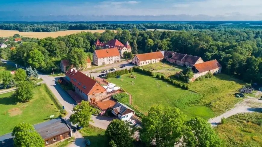 Studenci z Polski i Niemiec porządkują stary cmentarz w Sztynorcie