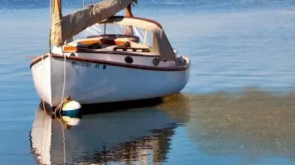 Mazurskie jeziora coraz bardziej zanieczyszczone. Jest pomysł jak to zatrzymać