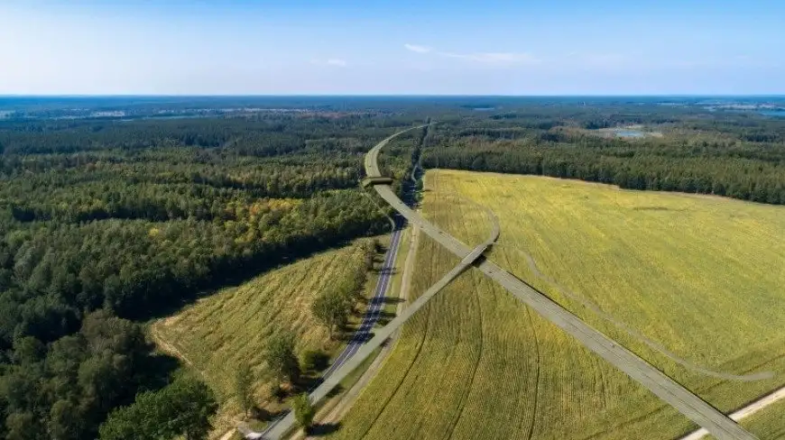 „Prezent na święta”? Kolejny krok do budowy ekspresówki przez Mazury