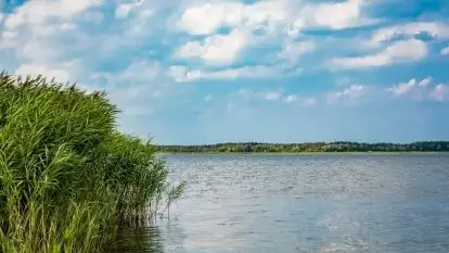 Brzegi jezior i rzek na Mazurach notorycznie niszczone. Wody Polskie nakładają kary