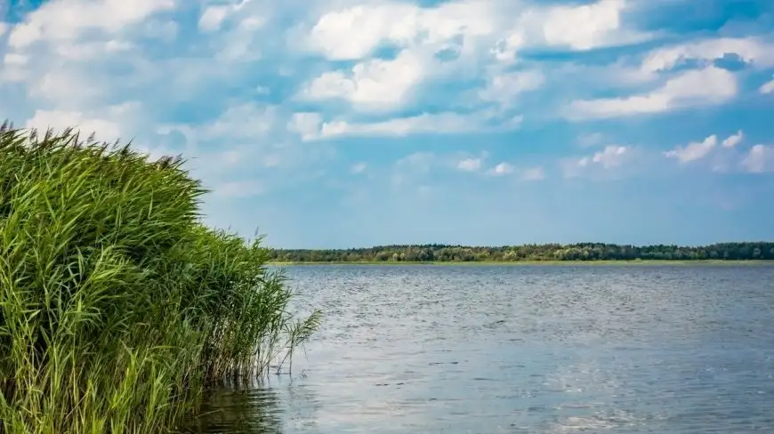 Brzegi jezior i rzek na Mazurach notorycznie niszczone. Wody Polskie nakładają kary