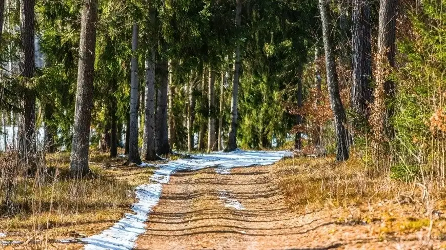 Wiosna, wiosna…szukamy przejawów wiosny na Mazurach