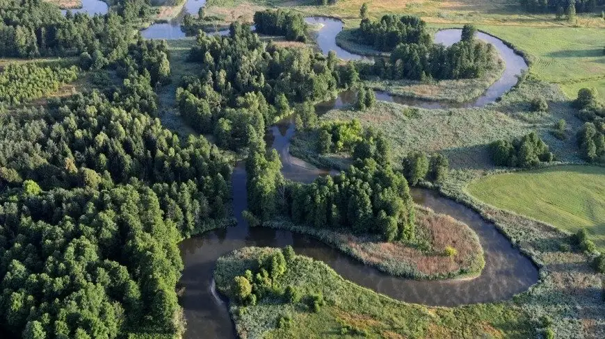 Szlak wodny Pisa – Narew. To może być turystyczny hit Mazur