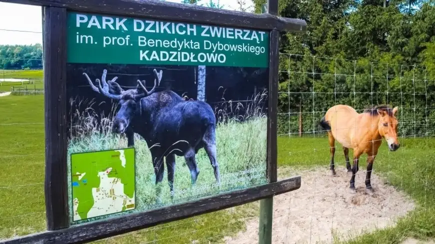 Park Dzikich Zwierząt w Kadzidłowie otwiera się dla turystów