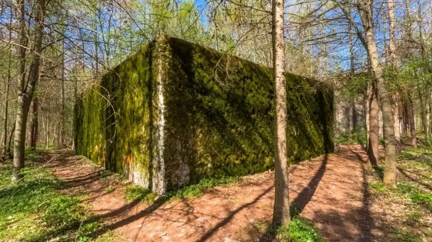 Tajemnice leśnego miasta – czyli historia bunkrów w Mamerkach