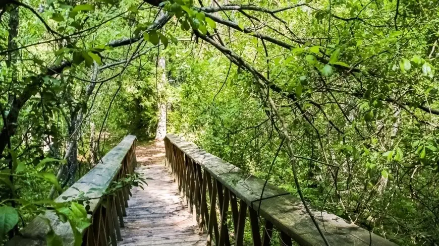 Mazurskie ciekawostki. Rezerwat Zakręt