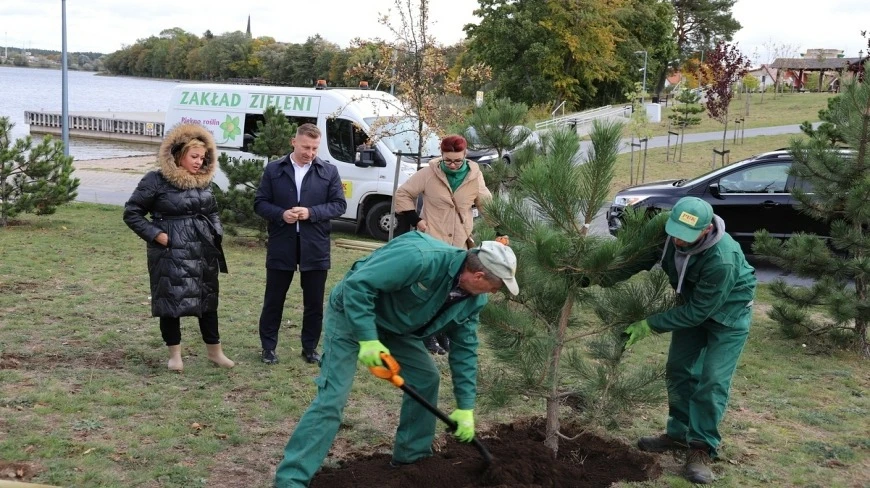 W Ełku na Mazurach sadzą drzewa i krzewy