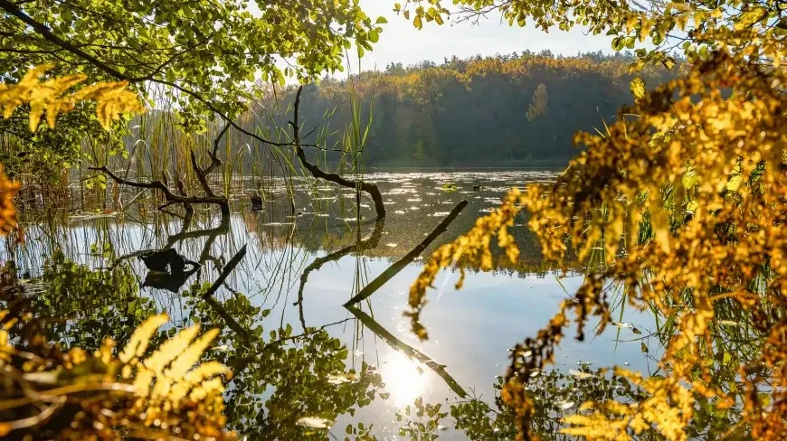 Dlaczego warto wybrać się na Mazury jesienią? Ta pora roku ma swoje uroki