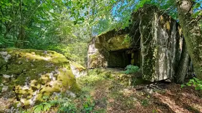 To warto zobaczyć na Mazurach. Schron Hansa Lammersa