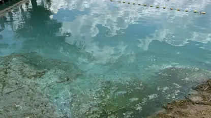 Sinice na Mazurach. Zakaz kąpieli w Mikołajkach, zagrożenie także w Niegocinie