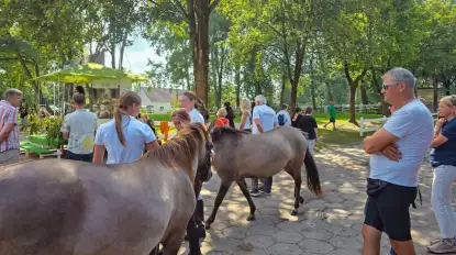 70 lat hodowli konika polskiego w Popielnie na Mazurach