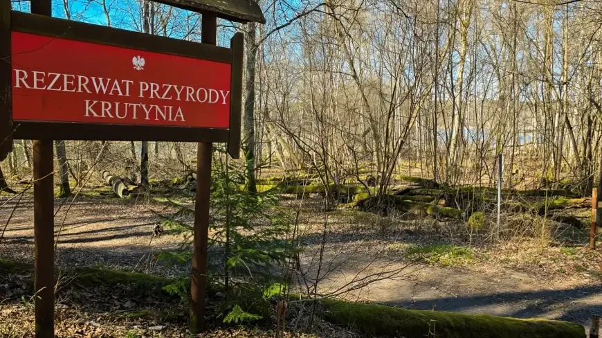 Seniorzy bliżej natury – jesienny spacer z kąpielą leśną w rezerwacie „Zakręt”