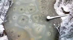 Podwodna „Galeria Sztuki” w Gajewie – zimowy spektakl natury zachwyca