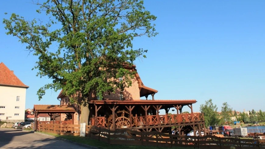 To warto zobaczyć na Mazurach. Niezwykła historia wodnego młyna