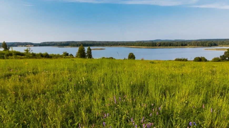 Sołdany pod szczególną ochroną. Na Mazurach powstanie nowy rezerwat przyrody