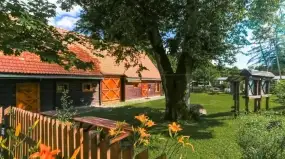 Mazurski Park Krajobrazowy ratuje stare sady. Chcą ocalić wiekowe drzewa