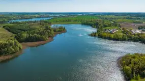 „Inwestor” bezkarny. 1500 mazurskich drzew „wyparowało” z akt sądowych