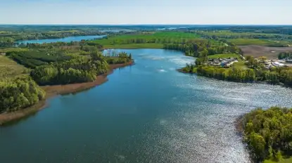 „Inwestor” bezkarny. 1500 mazurskich drzew „wyparowało” z akt sądowych