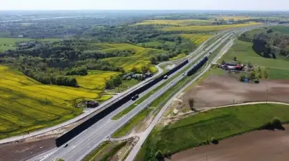 Mazurski węzeł gordyjski. Orlik krzykliwy na kursie kolizyjnym z trasą S16