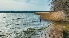 „Karykatura” mazurskich brzegów. Plaga nielegalnych pomostów niszczy ekosystem 