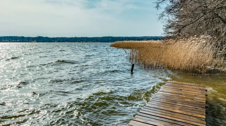 Zdjęcie poglądowe.