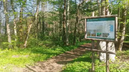 Zielony azyl nad Jeziorem Lampackim na Mazurach 