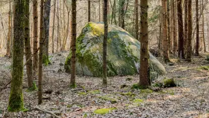 Diabelski Głaz w Diablej Górze. Tajemnicza legenda ukryta w mazurskich lasach 