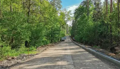 Zielona tarcza na drogach Warmii i Mazur. Koniec z wycinką przydrożnych alej