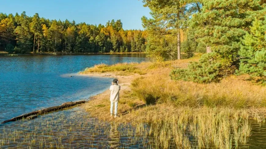 Zdjęcie poglądowe.