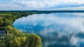 Przyducha na Mazurach. Masowe śnięcie ryb w jeziorze Gołdapiwo