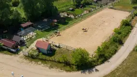 Dzika natura na wyciągnięcie ręki. Dlaczego warto odwiedzić Mazurskie Mini ZOO w Kąpie?