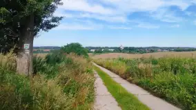 Wokół Mrągowa na Mazurach odnowiono oznakowania szlaków rowerowych