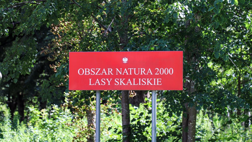 Lasy Skaliskie