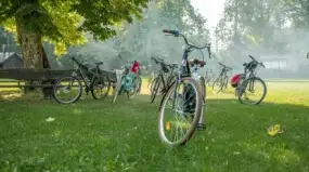 Rowerem przez dziką Krainę Węgorapy. Lasy Skaliskie pełne przyrodniczych skarbów