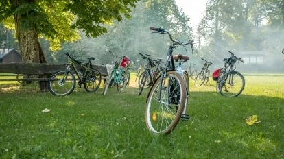 Rowerem przez dziką Krainę Węgorapy. Lasy Skaliskie pełne przyrodniczych skarbów