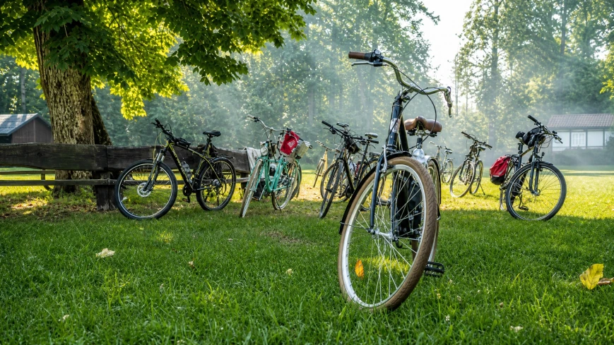 Rowerem przez dziką Krainę Węgorapy. Lasy Skaliskie pełne przyrodniczych skarbów