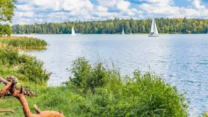 Mazury na dziko. Jak odkryć Krainę Wielkich Jezior bez wydawania fortuny?