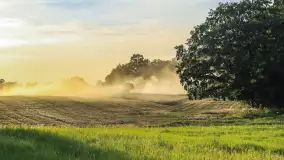 Koniec lata, początek sezonu dożynkowego. Tradycyjne święto plonów atrakcją regionu