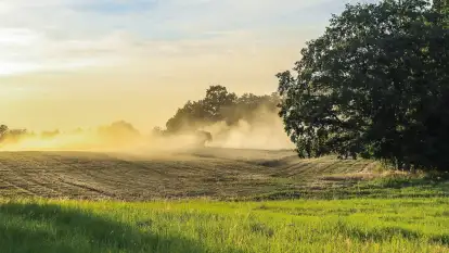 Koniec lata, początek sezonu dożynkowego. Tradycyjne święto plonów atrakcją regionu