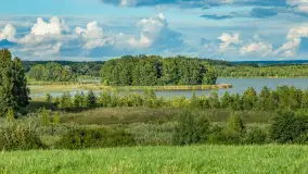 Rezerwat przyrody Oświn. Perła ornitologiczna Warmii i Mazur chroni ponad 100 gatunków ptaków