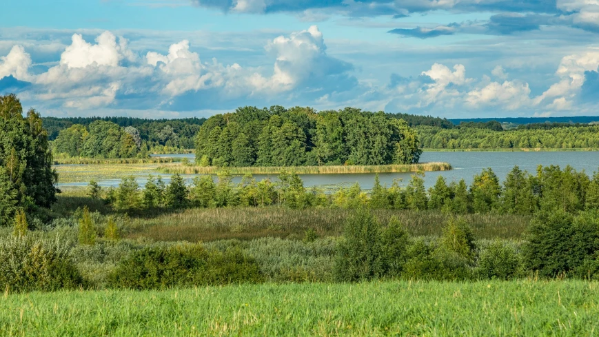Rezerwat przyrody Jezioro Siedmiu Wysp, rezerwat Oświn