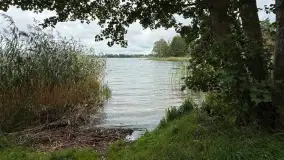 Pasym odzyskuje dostęp do jeziora Kalwa. Brzeg przy dawnej stanicy wodnej znów dla mieszkańców
