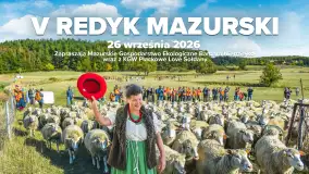 V Redyk Mazurski w Sołdanach 2026. Owce, lokalne smaki i zabawa do wieczora