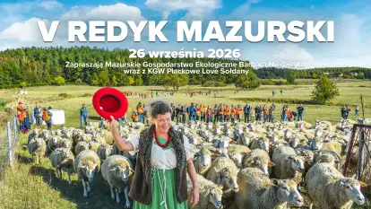 V Redyk Mazurski w Sołdanach 2026. Owce, lokalne smaki i zabawa do wieczora