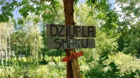 Catering od Dziupli Smaku - domowa kuchnia z Kruklanek wyrusza w teren