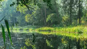 Ostatni dzień lata - przesilenie jesienne. Powrót do równowagi i duchowego spełnienia